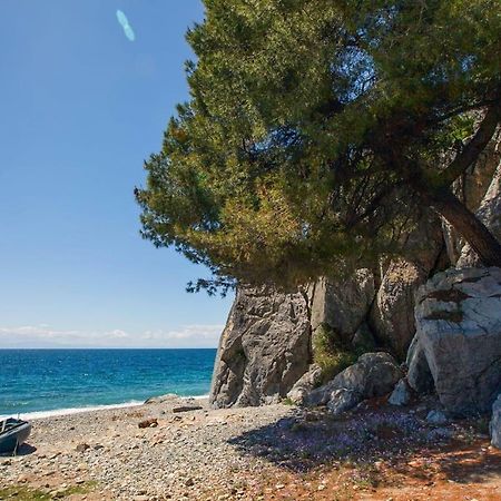 Comfortable Apartment Near The Central Beach Nea Skioni Buitenkant foto