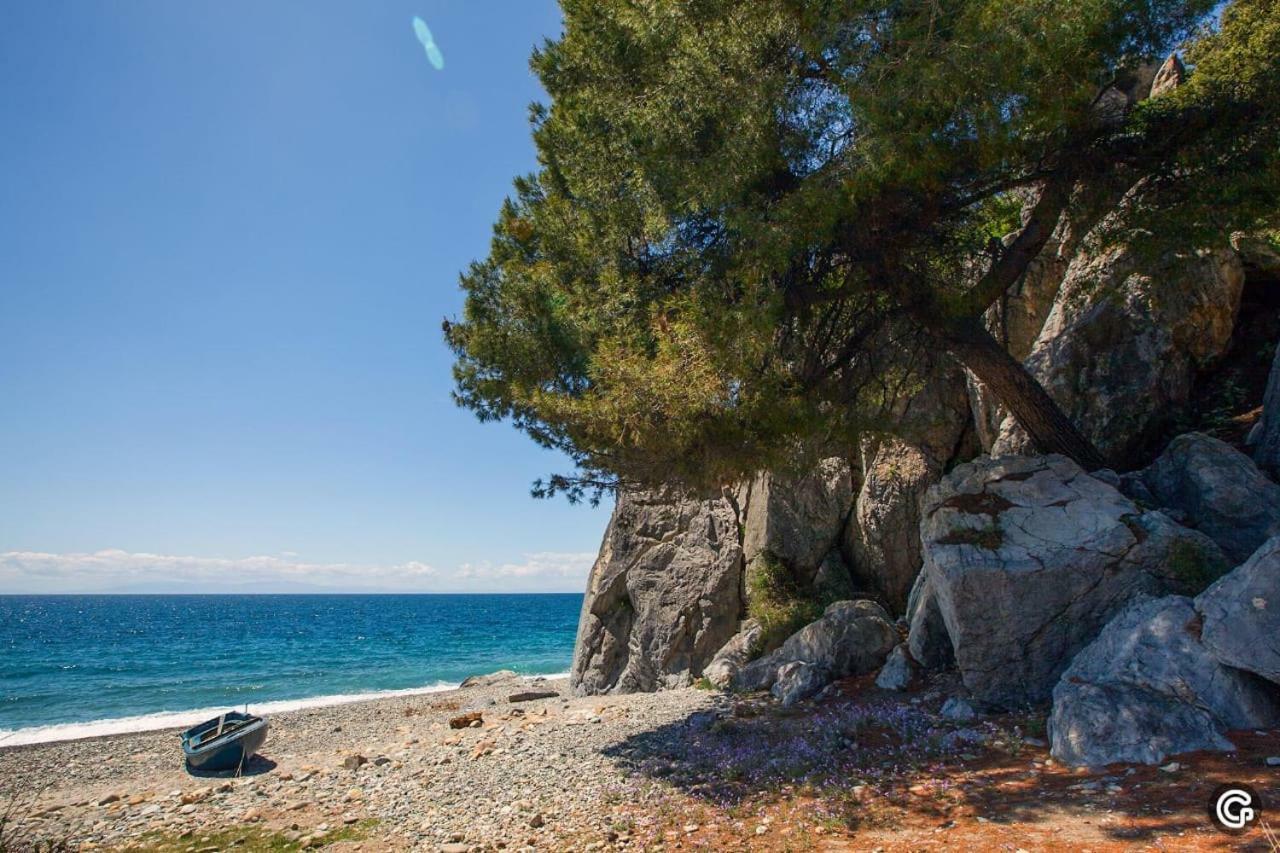 Comfortable Apartment Near The Central Beach Nea Skioni Buitenkant foto